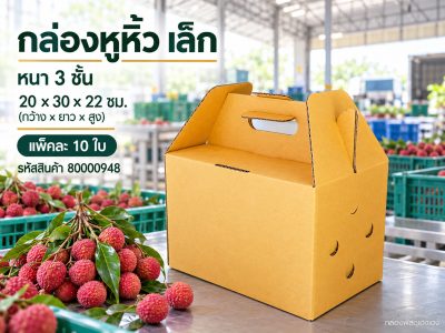 กล่องลูกฟูกหูหิ้ว เล็ก (3 ชั้น)