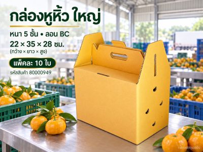 กล่องลูกฟูกหูหิ้ว ใหญ่ (5 ชั้น)