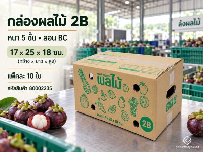 กล่องผลไม้ 2B