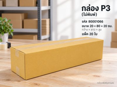 กล่อง P3 (ไม่พิมพ์)
